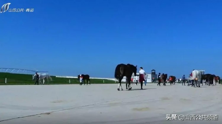 独家探访|吃鸡蛋做spa揭秘特殊运动员的VIP待遇